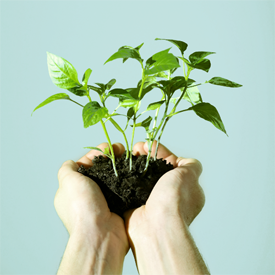 Eco-impact